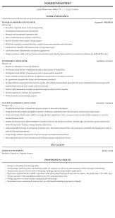 ecommerce developer resume sample
