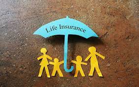 Csrs Basic Life Insurance gambar png