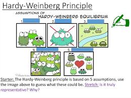 Our 'alleles and genes' video also points out 1. Evolution Hardy Weinberg Theory Factors That Influence The Frequency Of Genes Online Presentation