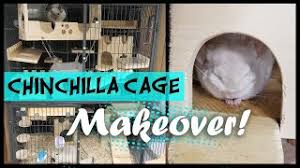 chinchilla diy cage makeover