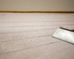 carpet cleaning san go and floor