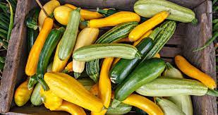 Growing Summer Squash In Containers