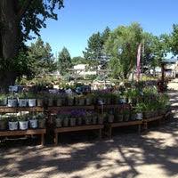 fort collins nursery 5 tips from 182