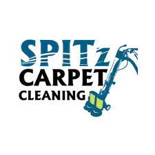 20 best los angeles carpet cleaners
