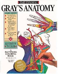 The anatomy coloring workbook, 4th edition uses the detailed drawings with thorough explanations of complex biology concepts and systems; Start Exploring Gray S Anatomy A Fact Filled Coloring Book Pdf Free Pdf Epub Medical Books