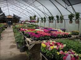 Garden Centres In Stonewall Mb