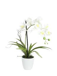 Vaso medio con narcisi bianchi. Decorazione Orchidea Fiori Bianchi Artificiale In Vaso Arredo E Decorazioni Amlux S R L
