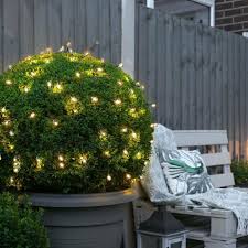 Clear Berry Fairy Lights