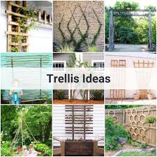 25 best trellis ideas for gardens and