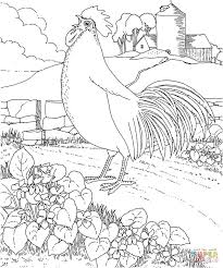Hundreds of free spring coloring pages that will keep children busy for hours. Bird Coloring Pages Free Printable Realistic