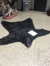bear and cat rugs naber s taxidermy