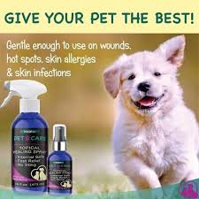 home remes for dog hair loss and