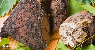 Chaga Mushroom Health Benefits Uses And Side Effects Dr Axe