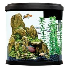 Top Fin Enchant Aquarium 3 5 Gallon Black Gravel Fish