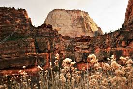 Great White Throne Red Rock Walls Zion