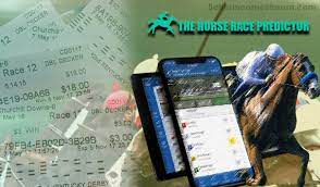 The Horse Race Predictor Calculator Review - Pros, Cons, and Thoughts