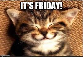 We did not find results for: Clare Fm Yep It S Friday Cat Time Again Coz The Facebook