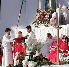 Resultado de imagen para beatificacion de los martires riojanos santa misa homilia