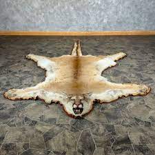 mountain lion full size rug 28859