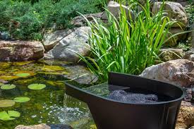 the best pond filters to keep your your