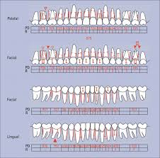 periodontal examination and screening