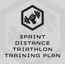 sprint distance triathlon training plan