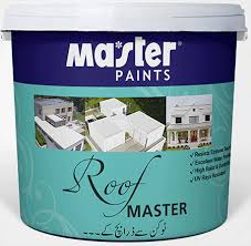 Exterior Paint Roof Master