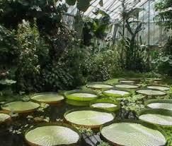 botanic garden edinburgh tour info