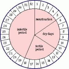 Calendar Method Chart Birth Control Calendar Office Of