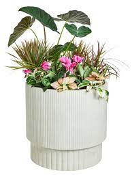 Easy Container Garden Ideas To Try