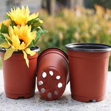 Plastic Plant Pots Whole Nz