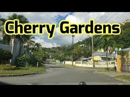 cherry hill cherry gardens jamaica