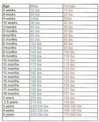 American Bully Growth Chart Awesome Mastiff Growth Chart