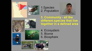 What is the difference between a population, community, and an ecosystem? |  Socratic