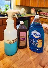 diy carpet cleaner solution with dawn
