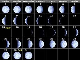 Phases Of The Moon Calendar 2010 Month By Month