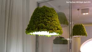 greenery in interior design moss