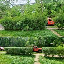 Somerville New Jersey Landscaping