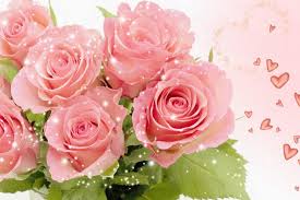 Image result for images of  pink rose hd