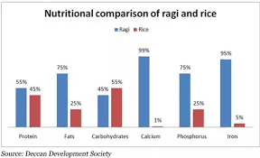 Which Is Better Ragi Or Rice Quora