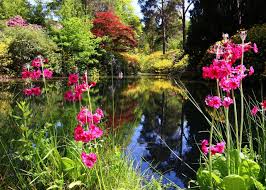 picture of leonardslee lakes gardens