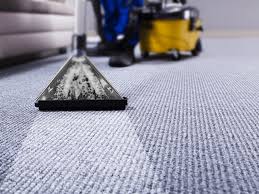 home eco bay carpet cleaning