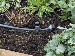 5 Best Automatic Watering Systems For