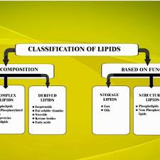 Classification Of Lipids Based On Their Composition And The