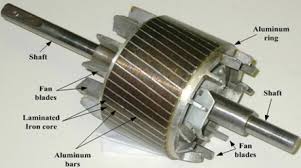 squirrel cage and wound induction motor