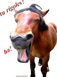 cheval qui rigole - LE MONDE DE REVERIE13013