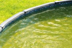how to clean a green above ground pool