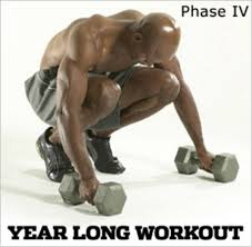year long workout phase iv workout a