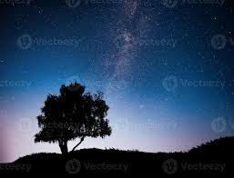landscape with night starry sky and
