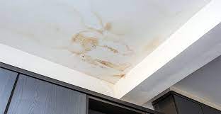 Smelly Mold Mildew After A Leak